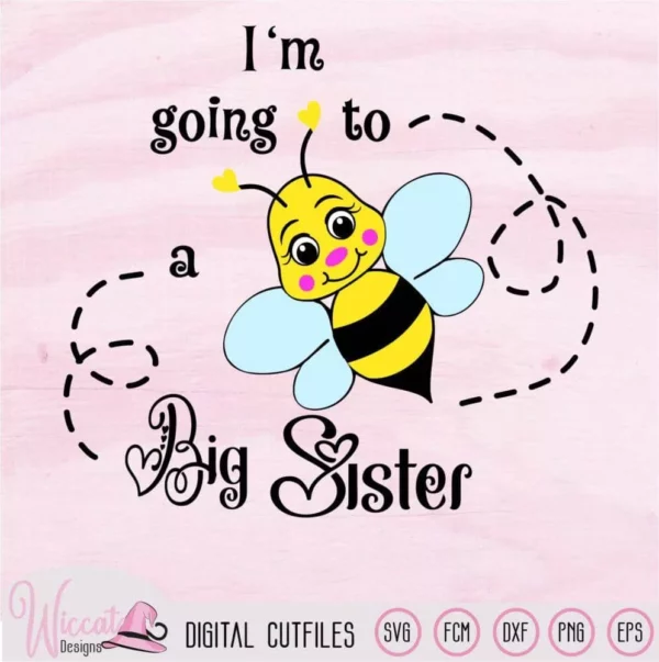 Bee bundle svg, Bumblebee svg, baby boy, Baby girl svg, pregnant svg, big brother svg, big sister svg, svg for cricut, scanncut fcm file