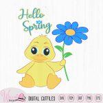 Hello spring baby boy duck