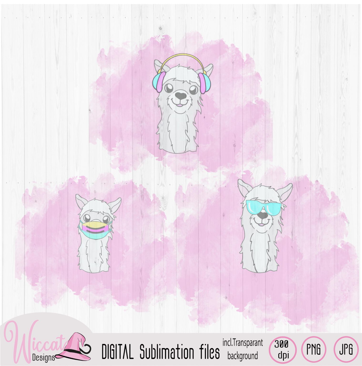 3 funny Llamas with pink background